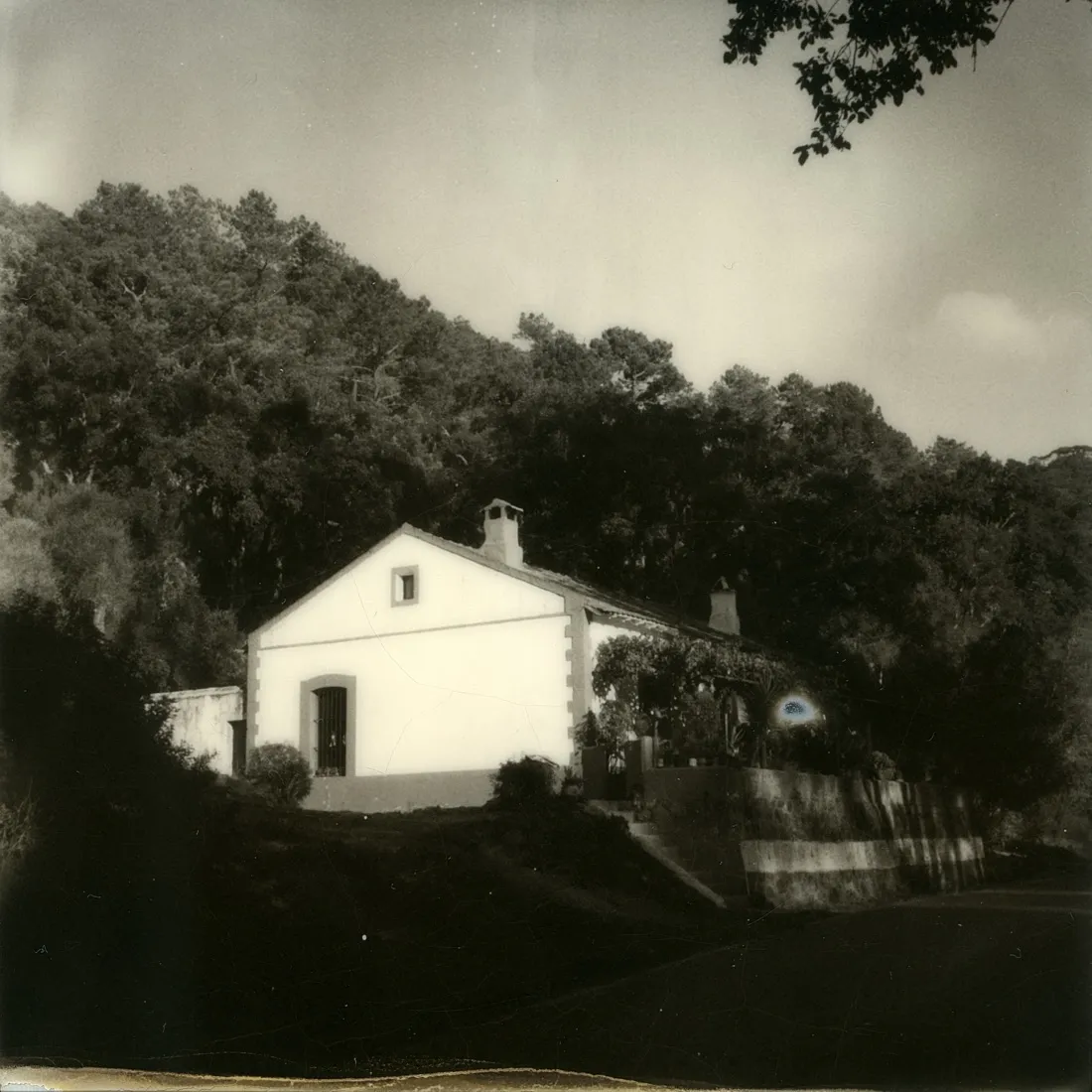 Fotografía de la residencia de Fabiola Cedillo